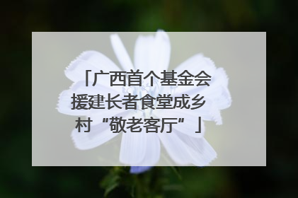 广西首个基金会援建长者食堂成乡村“敬老客厅”