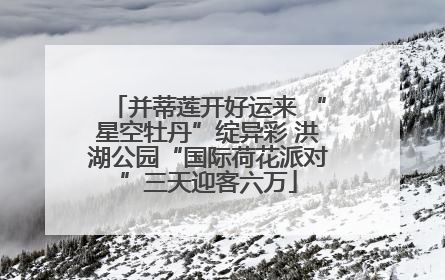 并蒂莲开好运来 “星空牡丹”绽异彩 洪湖公园“国际荷花派对”三天迎客六万