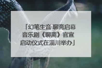 幻笔生音·聊斋启幕 音乐剧《聊斋》官宣启动仪式在淄川举办