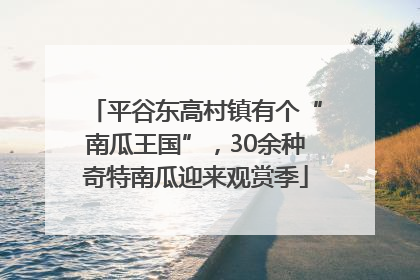 平谷东高村镇有个“南瓜王国”，30余种奇特南瓜迎来观赏季