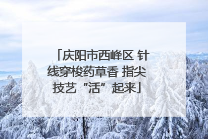 庆阳市西峰区 针线穿梭药草香 指尖技艺“活”起来