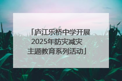 庐江乐桥中学开展2025年防灾减灾主题教育系列活动