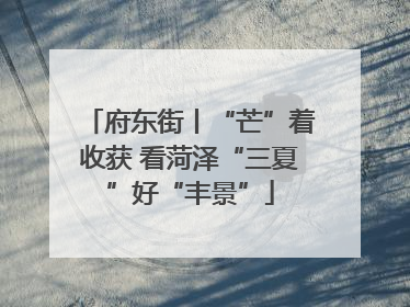 府东街丨“芒”着收获 看菏泽“三夏”好“丰景”