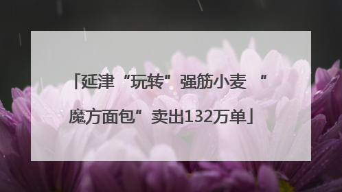 延津“玩转”强筋小麦 “魔方面包”卖出132万单