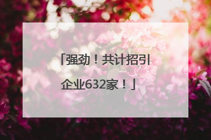 强劲！共计招引企业632家！