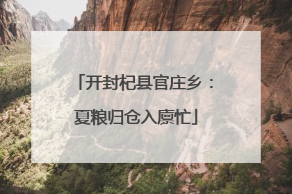 开封杞县官庄乡：夏粮归仓入廪忙