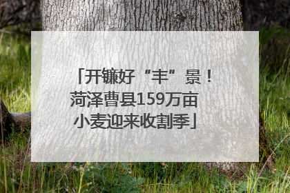 开镰好“丰”景！菏泽曹县159万亩小麦迎来收割季