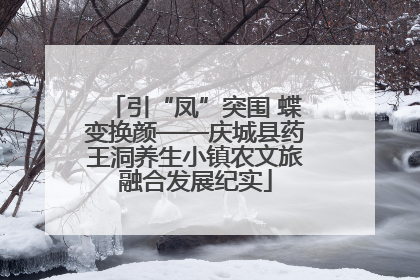 引“凤”突围 蝶变换颜——庆城县药王洞养生小镇农文旅融合发展纪实