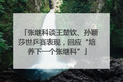 张继科谈王楚钦、孙颖莎世乒赛表现，回应“培养下一个张继科”