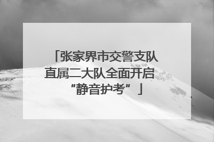 张家界市交警支队直属二大队全面开启“静音护考”