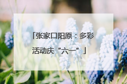 张家口阳原：多彩活动庆“六一”