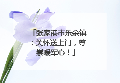张家港市乐余镇：关怀送上门，尊崇暖军心！