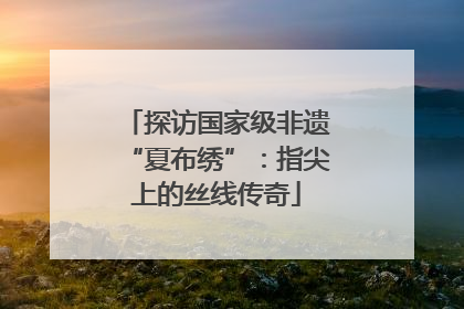 探访国家级非遗“夏布绣”：指尖上的丝线传奇