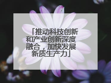 推动科技创新和产业创新深度融合，加快发展新质生产力