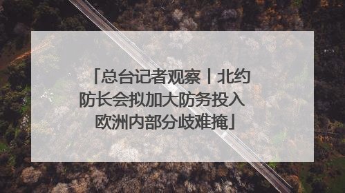 总台记者观察丨北约防长会拟加大防务投入 欧洲内部分歧难掩