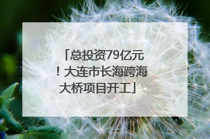 总投资79亿元！大连市长海跨海大桥项目开工