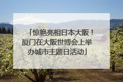 惊艳亮相日本大阪！厦门在大阪世博会上举办城市主题日活动