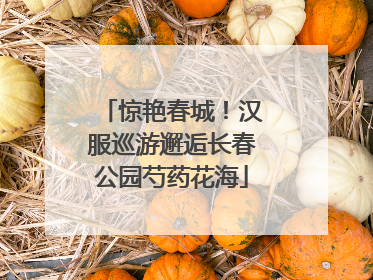 惊艳春城！汉服巡游邂逅长春公园芍药花海
