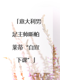 意大利男足主帅斯帕莱蒂“自宣下课”