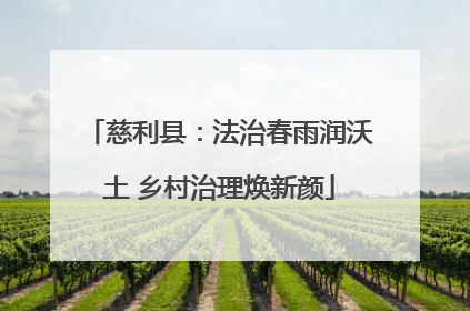 慈利县：法治春雨润沃土 乡村治理焕新颜