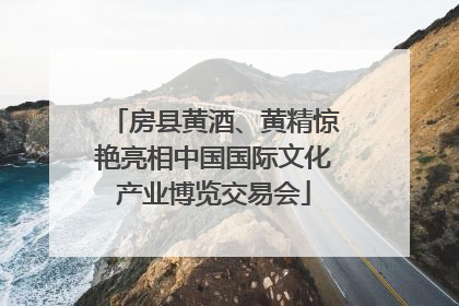 房县黄酒、黄精惊艳亮相中国国际文化产业博览交易会