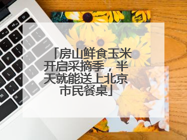 房山鲜食玉米开启采摘季，半天就能送上北京市民餐桌