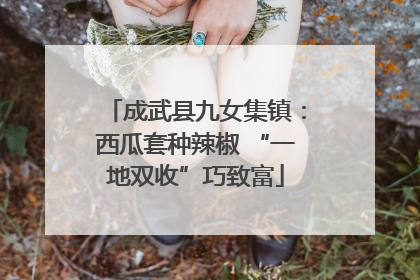 成武县九女集镇：西瓜套种辣椒 “一地双收”巧致富