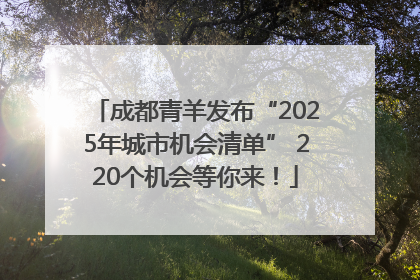成都青羊发布“2025年城市机会清单” 220个机会等你来！