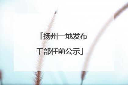 扬州一地发布干部任前公示