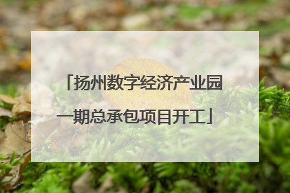 扬州数字经济产业园一期总承包项目开工