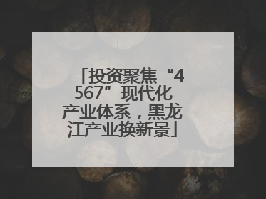 投资聚焦“4567”现代化产业体系，黑龙江产业换新景