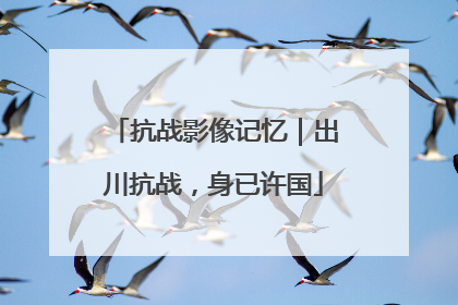抗战影像记忆｜出川抗战，身已许国