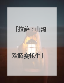拉萨：山沟欢腾赛牦牛