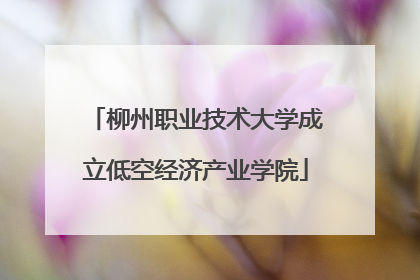 柳州职业技术大学成立低空经济产业学院