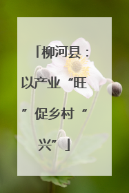 柳河县：以产业“旺”促乡村“兴”
