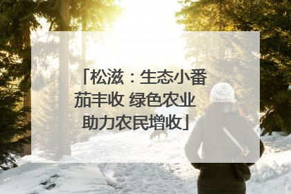 松滋：生态小番茄丰收 绿色农业助力农民增收