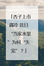 杏子上市遇冷 昔日“当家水果”为何“失宠”？