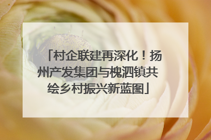 村企联建再深化！扬州产发集团与槐泗镇共绘乡村振兴新蓝图