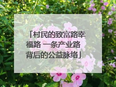 村民的致富路幸福路 一条产业路背后的公益脉络