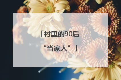 村里的90后“当家人”