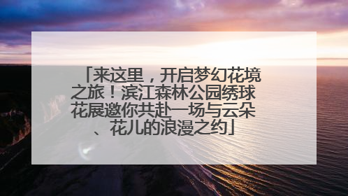 来这里，开启梦幻花境之旅！滨江森林公园绣球花展邀你共赴一场与云朵、花儿的浪漫之约
