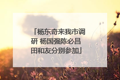 杨东奇来我市调研 杨国强陈必昌田和友分别参加