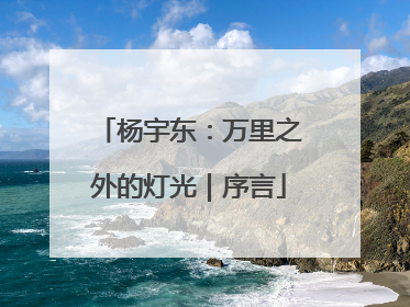 杨宇东：万里之外的灯光｜序言
