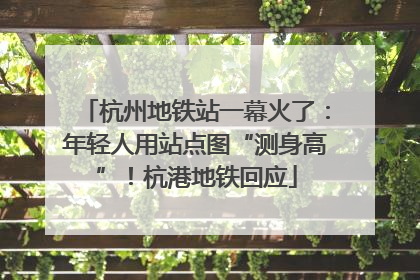 杭州地铁站一幕火了：年轻人用站点图“测身高”！杭港地铁回应
