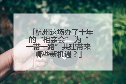 杭州这场办了十年的“相亲会” 为“一带一路”共建带来哪些新机遇？