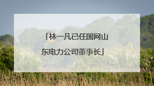 林一凡已任国网山东电力公司董事长