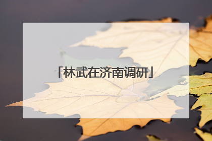 林武在济南调研