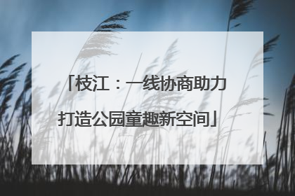 枝江：一线协商助力打造公园童趣新空间
