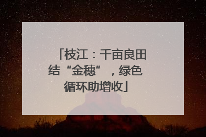 枝江：千亩良田结“金穗”，绿色循环助增收