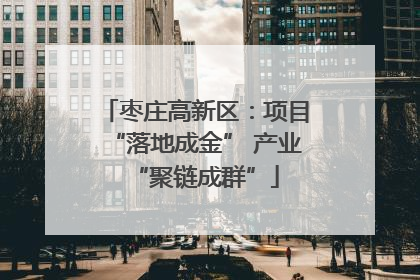 枣庄高新区：项目“落地成金” 产业“聚链成群”